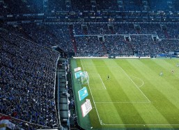 华体会官网_老乡情深！俄勒冈大学客场激战开拓者主场，杨瀚森现场助威林葳闪耀时刻