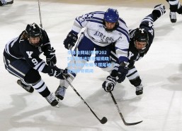 华体会网站|德甲2025年最佳进球荣耀揭晓！武什科维奇蝎子摆尾破门缔造传奇瞬间