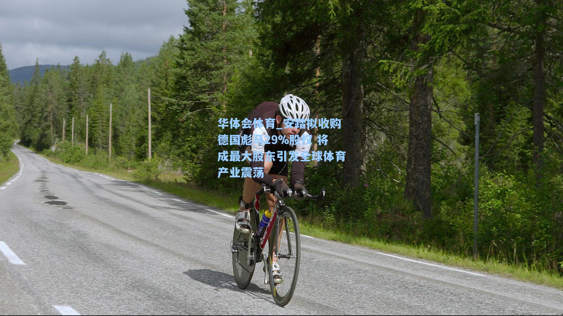 安踏拟收购德国彪马29%股权 将成最大股东引发全球体育产业震荡