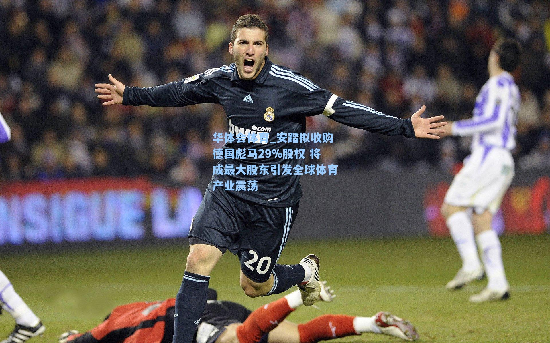 安踏拟收购德国彪马29%股权 将成最大股东引发全球体育产业震荡